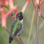 深入了解金汇娱乐的市场趋势与发展前景 808muqr9y9