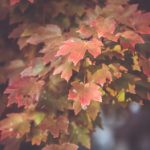 深入了解皇宝娱乐的安全性与用户隐私保护措施 a5zzy3536b