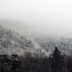 4月20日双色球开奖号码及中奖结果查询 d5h07