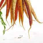 深入了解澳门金沙城赌场官网的游戏种类与优惠活动 krjdqnzv