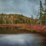 深入了解路易十三平台的会员权益与服务优势 wii0ac60z