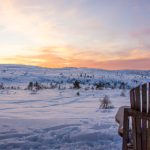 深入了解贝博平台:在线博彩的全新体验与优势 wuhubgqt27