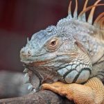 4月9日体育彩票最新开奖结果查询与号码公布 y02sssjzjd