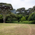 JRS无插件NBA直播:高清流畅的在线篮球赛事观看体验 iu363r40e7